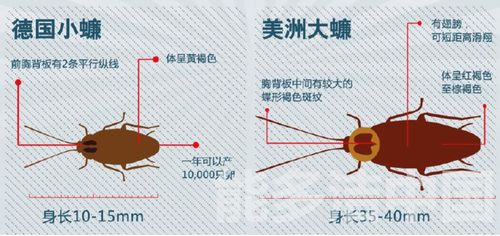 微信圖片_20190918100450.jpg